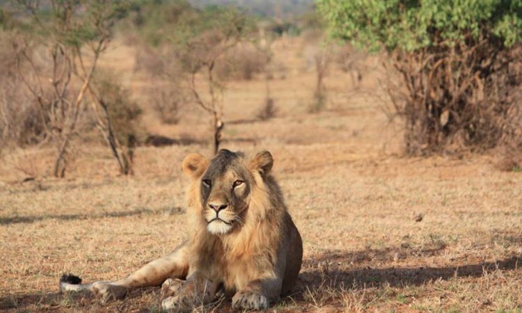 Samburu National Reserve 