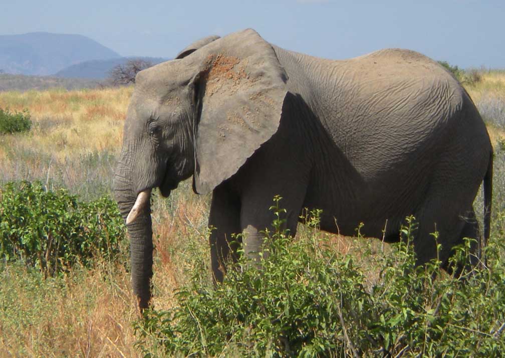 Arusha National Park