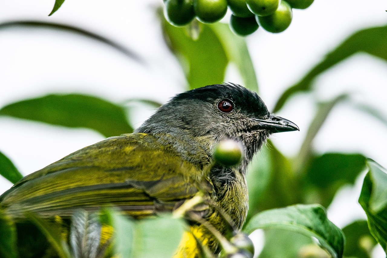 Lake Manyara National Park