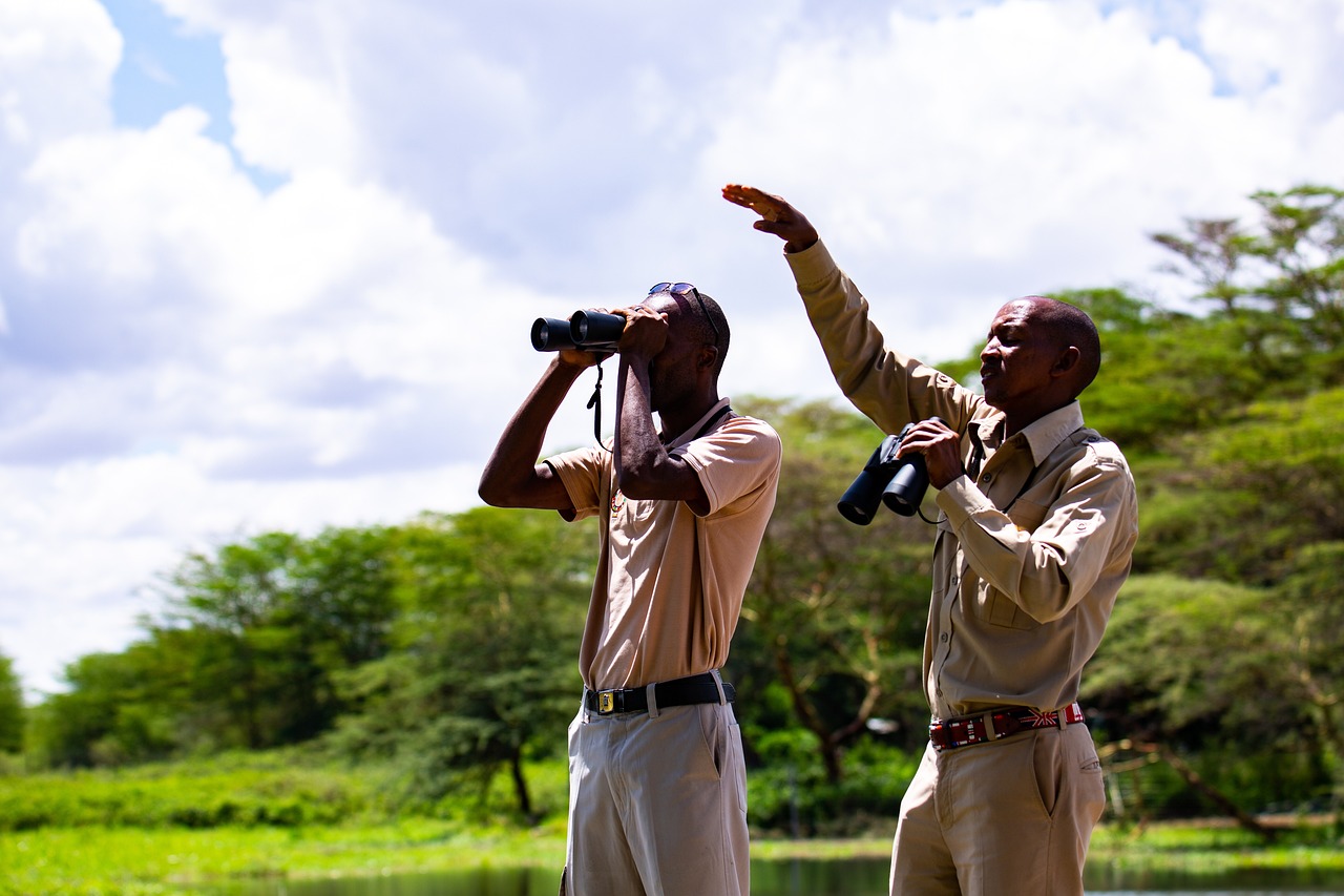 Birdwatching