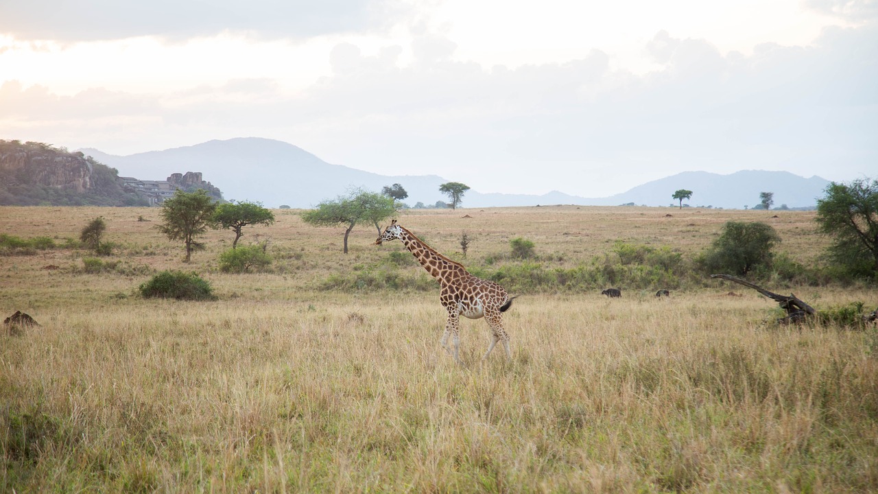 Kidepo Valley National Park