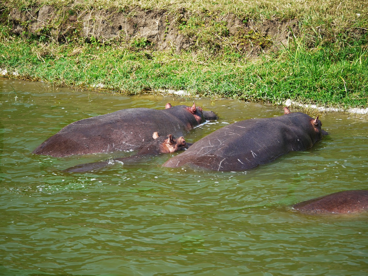 Kazinga channel boat cruise