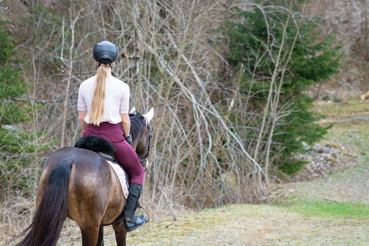 Horseback Safari