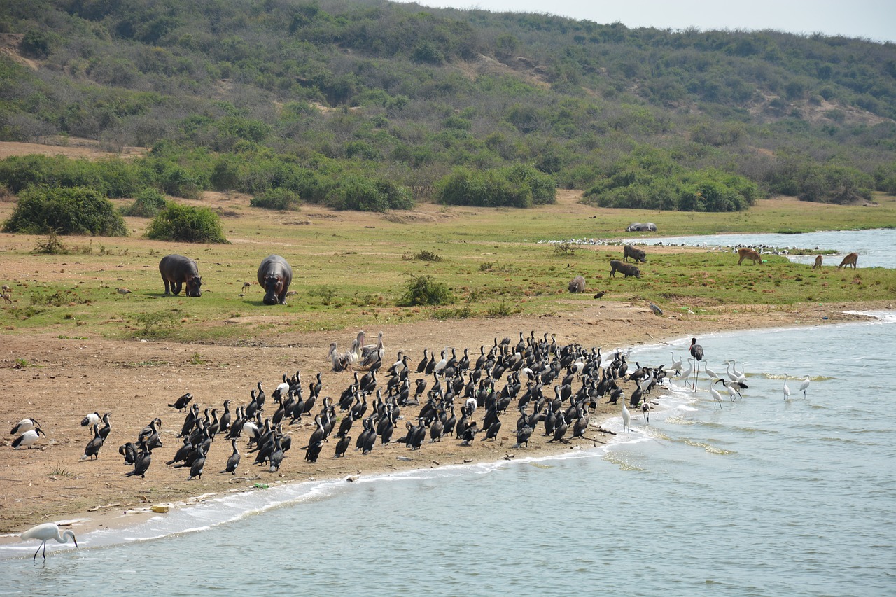 The Kazinga Channel