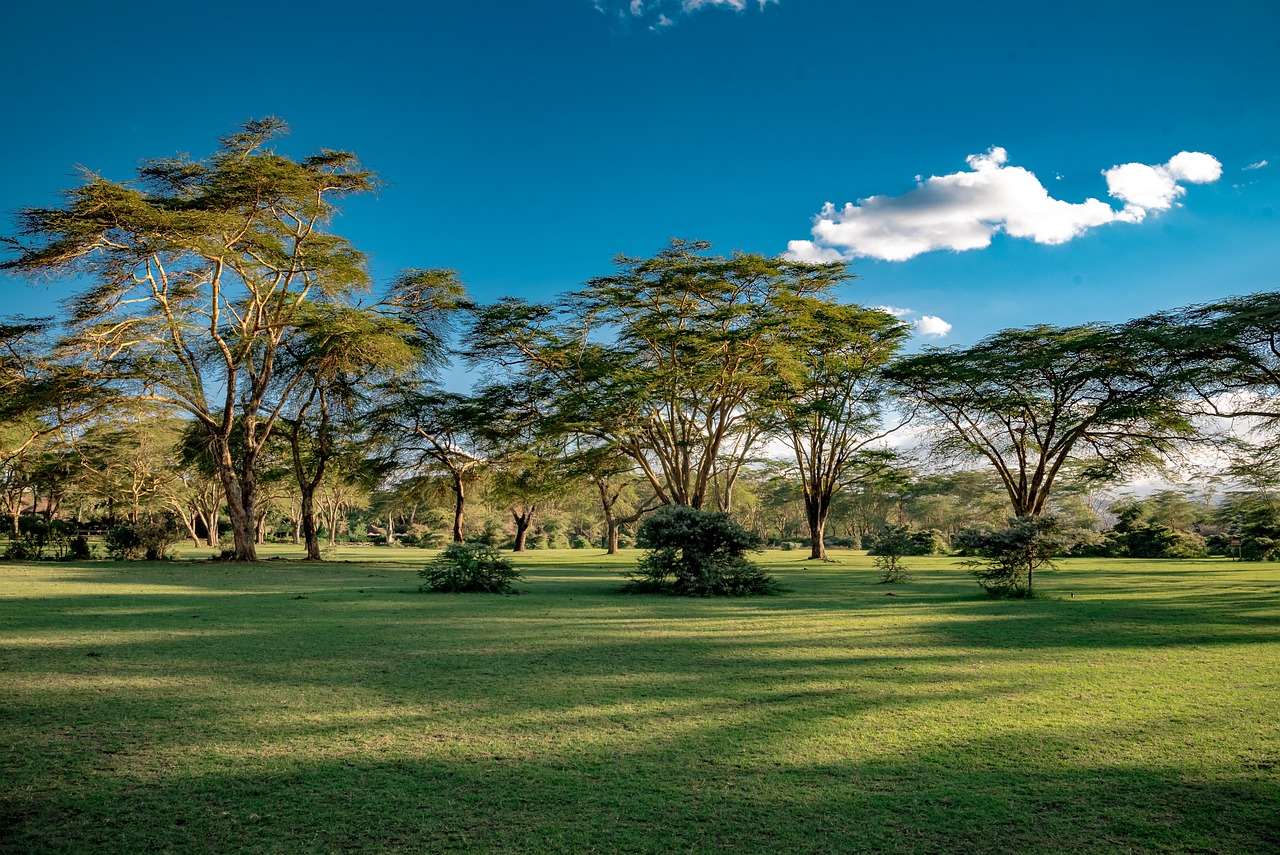 Lake Naivasha 