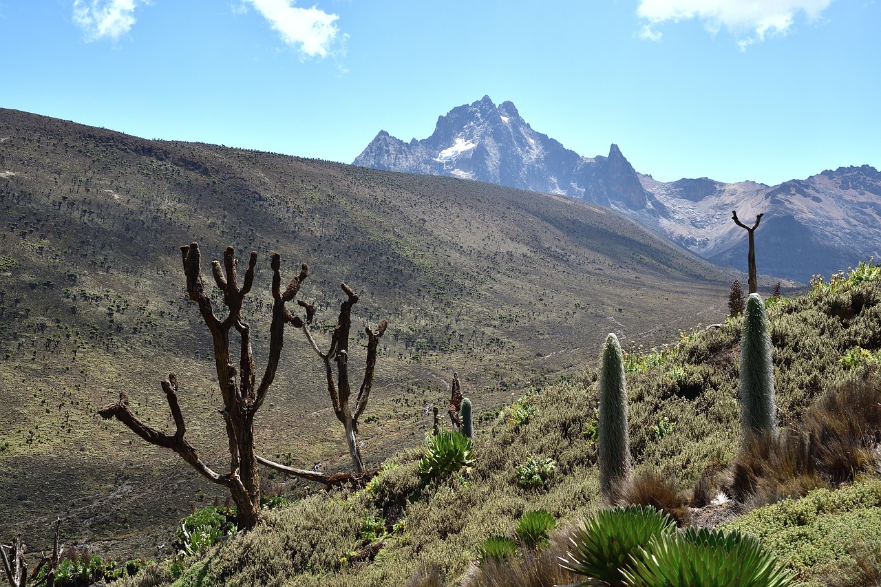 Mount Elgon National Park