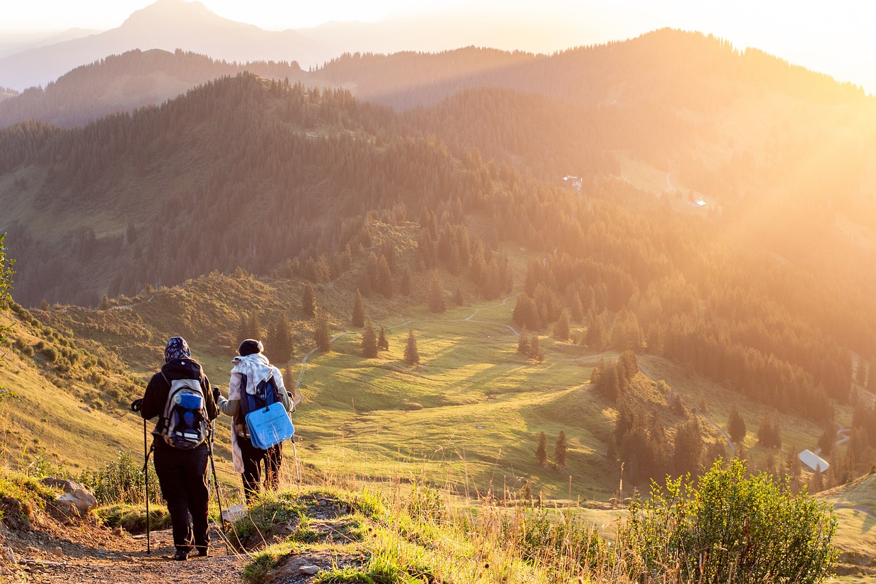 Hiking The Rwenzori Mountains