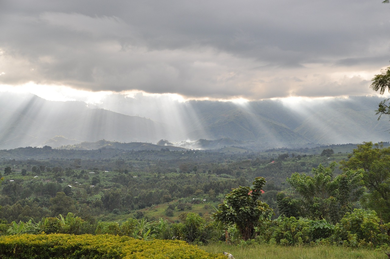 Rwenzori Mountains National Park Hiking Safari