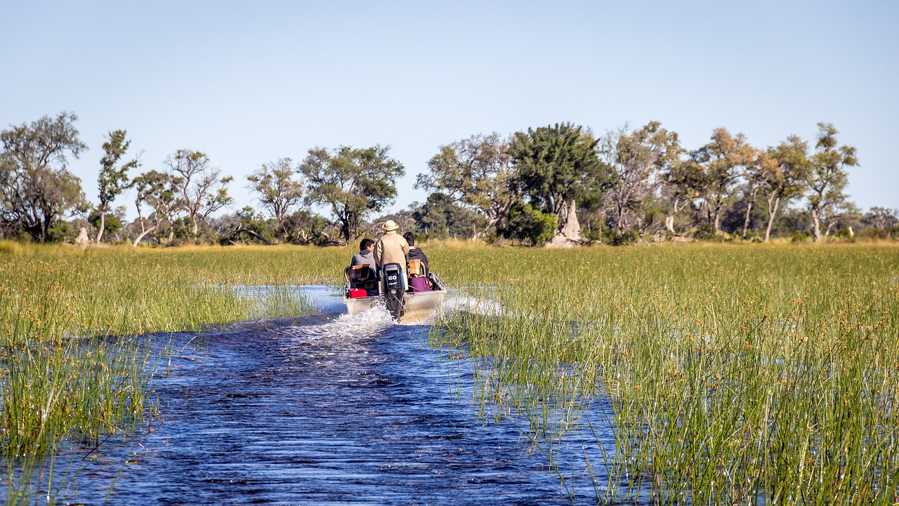 Best Safari in Africa 