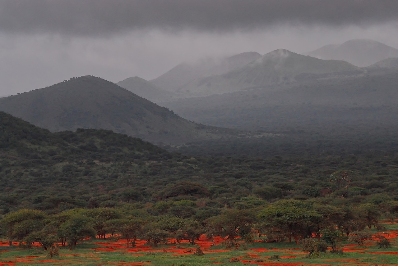 Tsavo