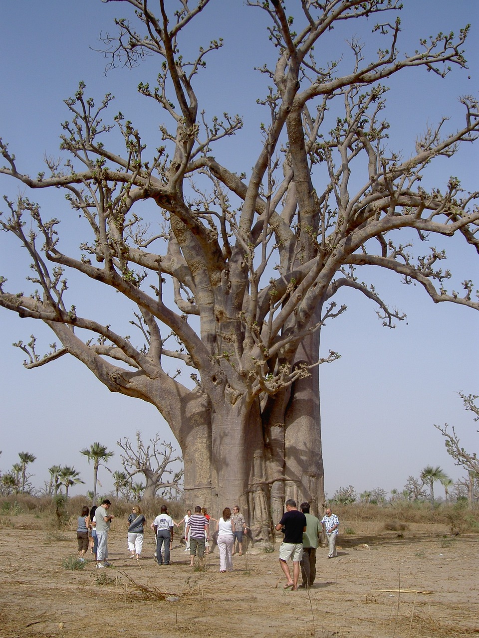 Madagascar northern tour