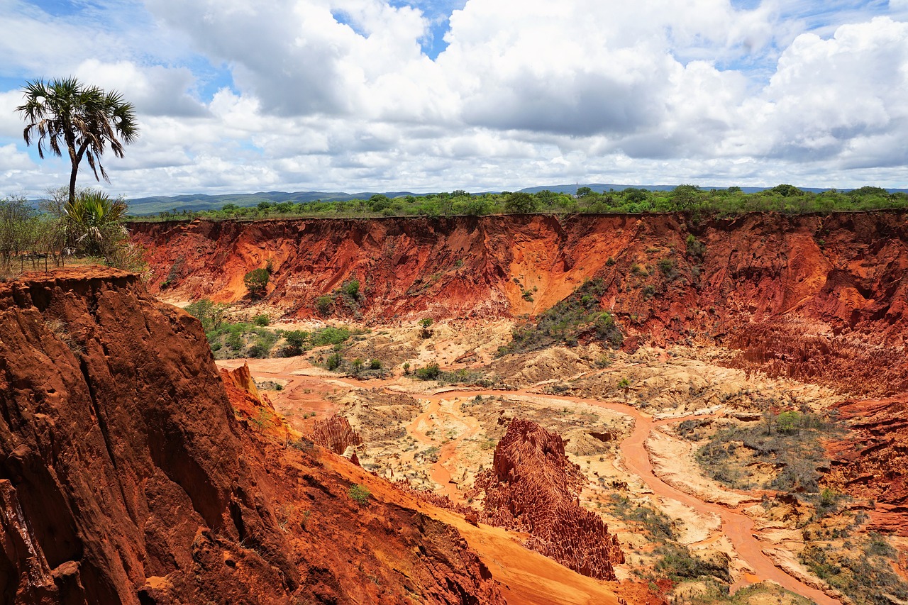 Madagascar west tour